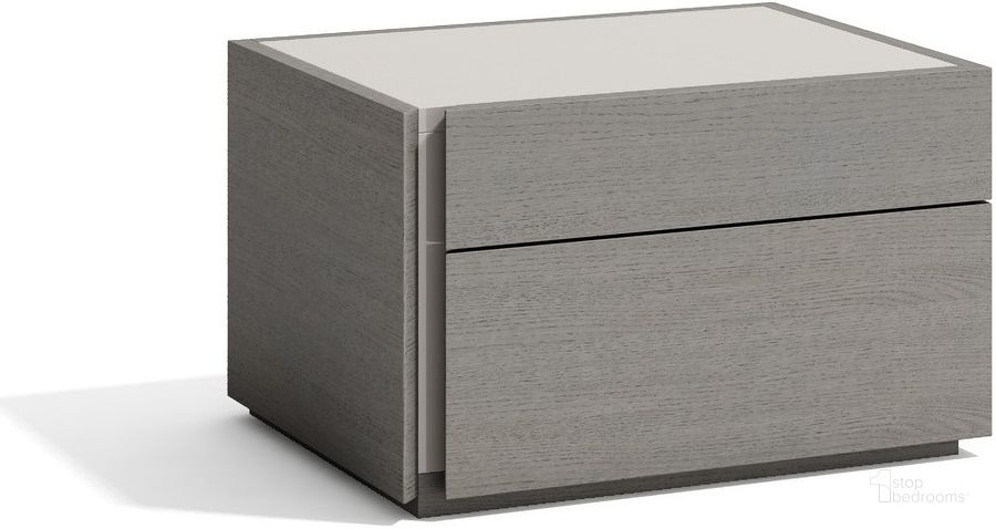 The appearance of Dionte Grey Nightstand 0qd24330510c designed by Herrein Hall in the modern / contemporary interior design. This grey piece of furniture  was selected by 1StopBedrooms from Dionte Collection to add a touch of cosiness and style into your home. Sku: 17865-NSL. Product Type: Nightstand.