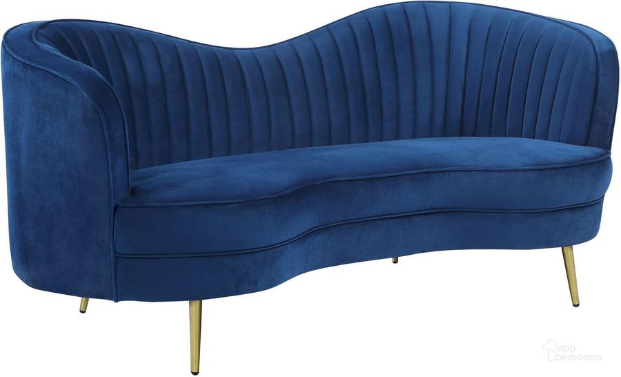 The appearance of Prattsville Blue Loveseat designed by Boho House in the transitional interior design. This blue piece of furniture  was selected by 1StopBedrooms from Prattsville Collection to add a touch of cosiness and style into your home. Sku: 506862. Product Type: Loveseat. Material: Stainless Steel. Image1