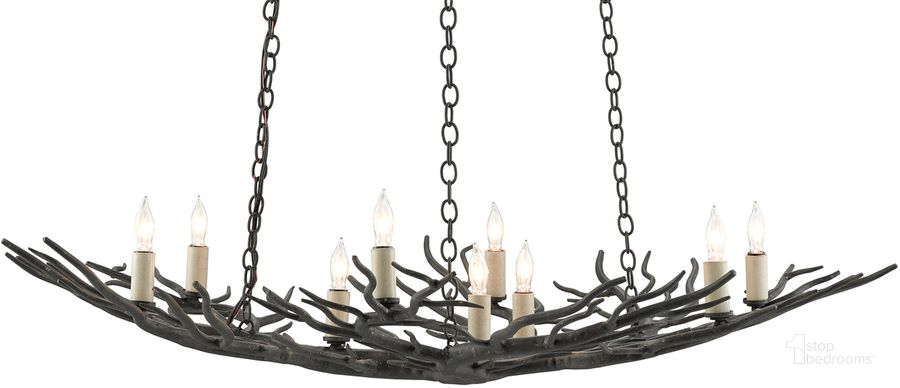 The appearance of Rainforest Small Bronze Chandelier designed by Currey & Company in the modern / contemporary interior design. This bronze piece of furniture  was selected by 1StopBedrooms from Rainforest Collection to add a touch of cosiness and style into your home. Sku: 9000-0555. Product Type: Chandelier. Material: Iron. Image1