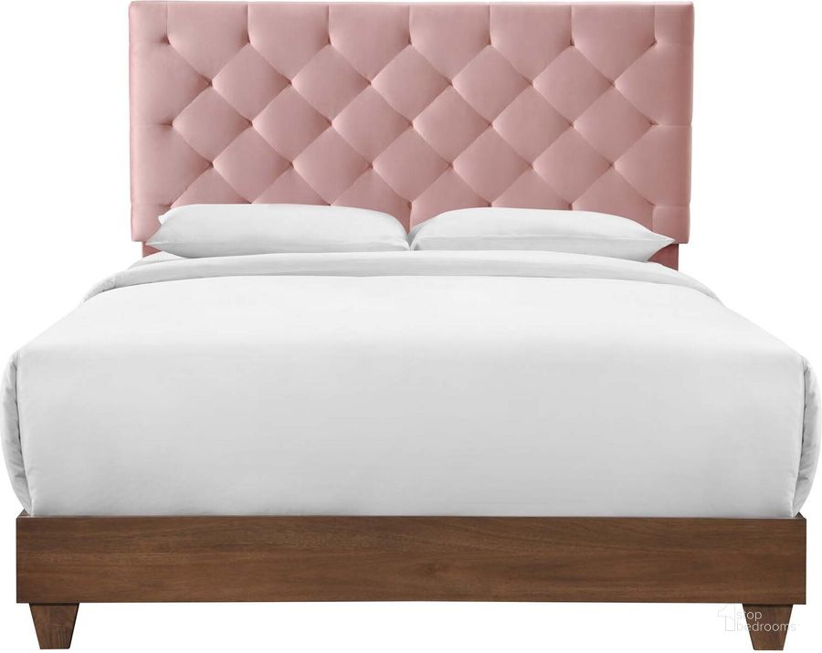 The appearance of Rhiannon Walnut Dusty Rose Diamond Tufted Upholstered Performance Velvet Queen Bed designed by Modway in the modern / contemporary interior design. This walnut dusty rose piece of furniture  was selected by 1StopBedrooms from Rhiannon Collection to add a touch of cosiness and style into your home. Sku: MOD-6147-WAL-DUS. Bed Type: Panel Bed. Material: Wood. Product Type: Panel Bed. Bed Size: Queen. Image1