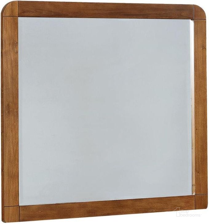 The appearance of Robyn Dark Walnut Mirror designed by Coaster in the transitional interior design. This brown piece of furniture  was selected by 1StopBedrooms from Robyn Collection to add a touch of cosiness and style into your home. Sku: 205134. Material: Glass. Product Type: Dresser Mirror. Image1
