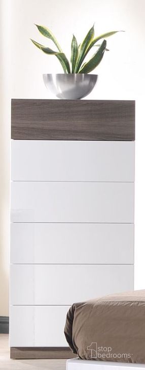 The appearance of Sanremo Chest designed by J&M in the modern / contemporary interior design. This white piece of furniture  was selected by 1StopBedrooms from Sanremo Collection to add a touch of cosiness and style into your home. Sku: 18023-C. Material: Wood. Product Type: Chest.
