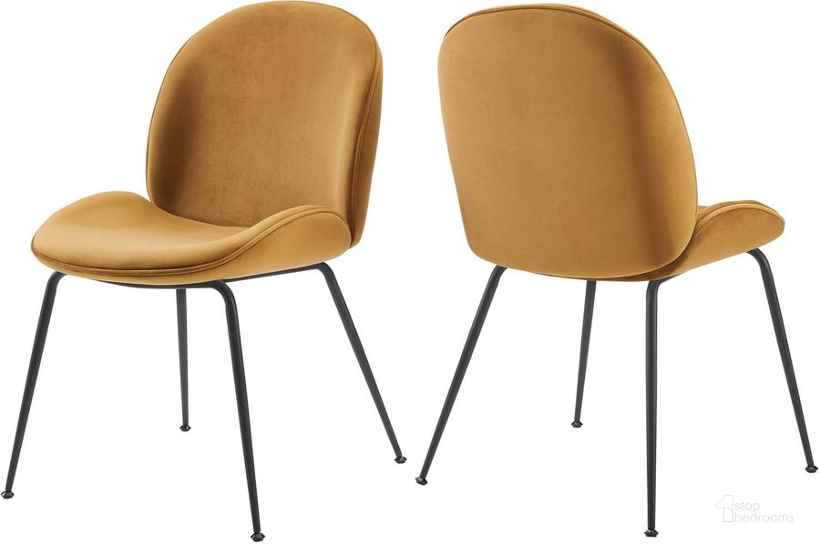 The appearance of Scoop Black Powder Coated Steel Leg Performance Velvet Dining Chairs - Set of 2 In Cognac designed by Modway in the modern / contemporary interior design. This cognac piece of furniture  was selected by 1StopBedrooms from Scoop Collection to add a touch of cosiness and style into your home. Sku: EEI-4635-COG. Material: Wood. Product Type: Dining Chair. Image1
