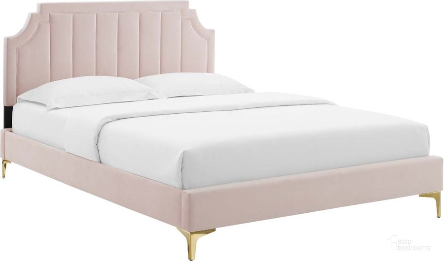 The appearance of Sienna Performance Velvet Queen Platform Bed MOD-6712-PNK designed by Modway in the modern / contemporary interior design. This pink piece of furniture  was selected by 1StopBedrooms from Sienna Collection to add a touch of cosiness and style into your home. Sku: MOD-6712-PNK. Bed Type: Platform Bed. Product Type: Platform Bed. Bed Size: Queen. Material: MDF. Image1