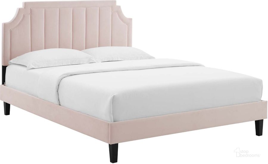 The appearance of Sienna Performance Velvet Twin Platform Bed MOD-6908-PNK designed by Modway in the modern / contemporary interior design. This pink piece of furniture  was selected by 1StopBedrooms from Sienna Collection to add a touch of cosiness and style into your home. Sku: MOD-6908-PNK. Bed Type: Platform Bed. Product Type: Platform Bed. Bed Size: Twin. Material: MDF. Image1