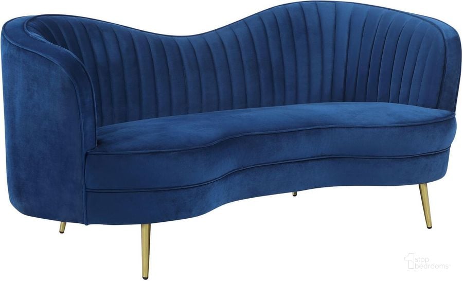 The appearance of Sophia Blue Loveseat designed by Coaster in the transitional interior design. This blue piece of furniture  was selected by 1StopBedrooms from Sophia Collection to add a touch of cosiness and style into your home. Sku: 506862. Product Type: Loveseat. Material: Stainless Steel. Image1