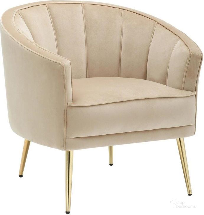The appearance of Tania Contemporary/Glam Accent Chair In Gold Metal And Champagne Velvet designed by Lumisource in the modern / contemporary interior design. This cream piece of furniture  was selected by 1StopBedrooms from Tania Collection to add a touch of cosiness and style into your home. Sku: CHR-TANIA AU+CHMP. Product Type: Accent Chair. Material: Velvet. Image1