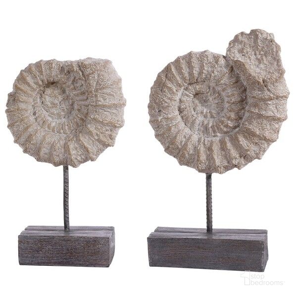 The appearance of Toren Ammonite Shell Table Decor Set of 2 in Black and White designed by Safavieh in the modern / contemporary interior design. This black and white piece of furniture  was selected by 1StopBedrooms from Toren Collection to add a touch of cosiness and style into your home. Sku: RDC1208A-SET2. Material: Metal. Product Type: Decorative Accessory. Image1