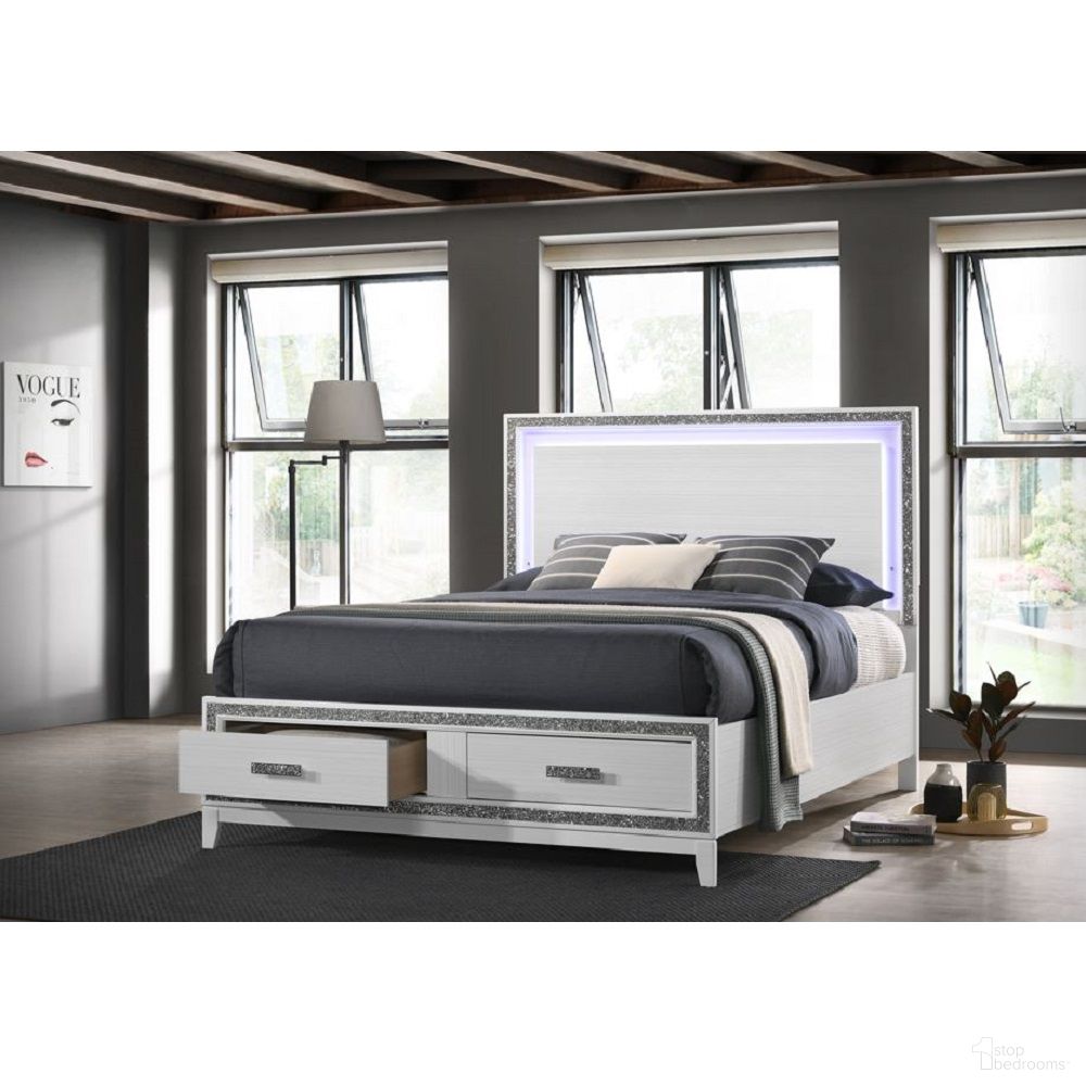 Haiden Collection