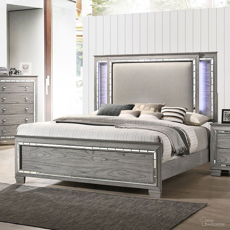 Antares Collection