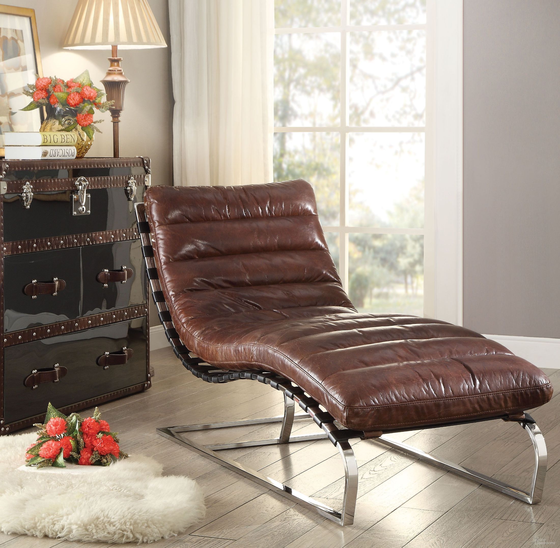 Qortini Collection