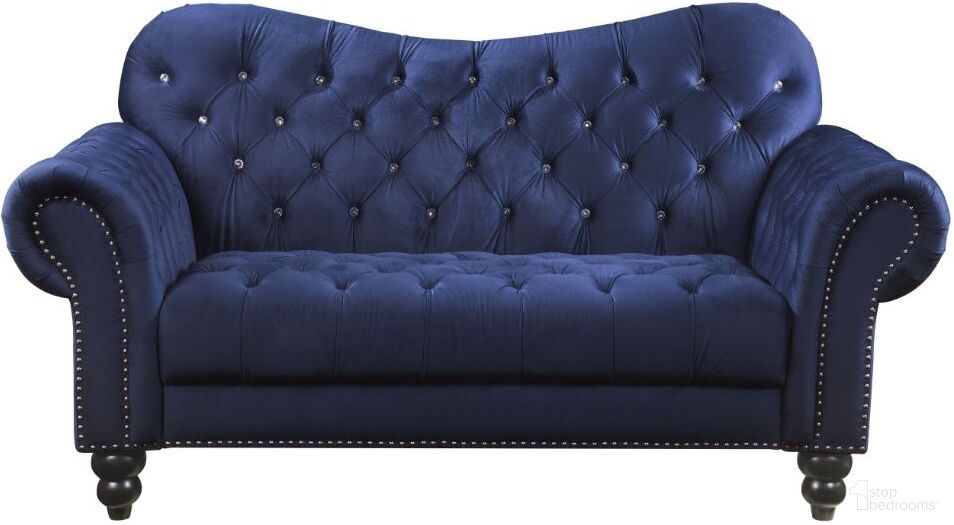 Iberis Collection