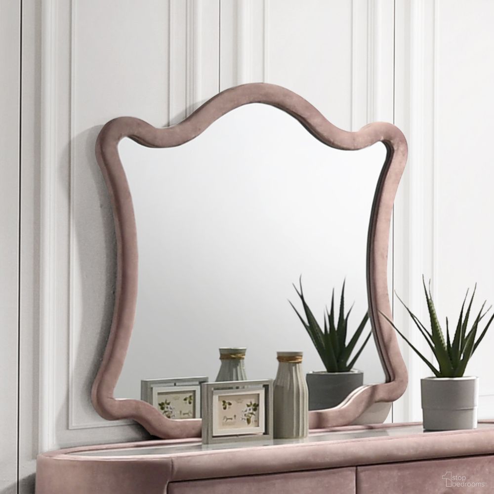 Salonia Collection