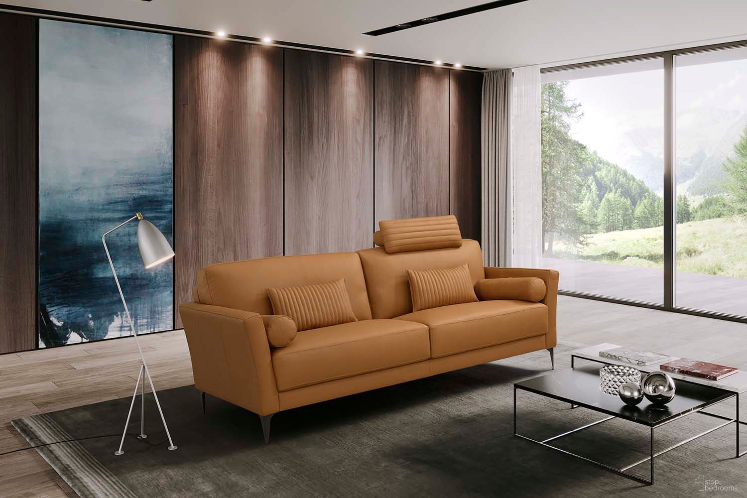 Tussio Collection