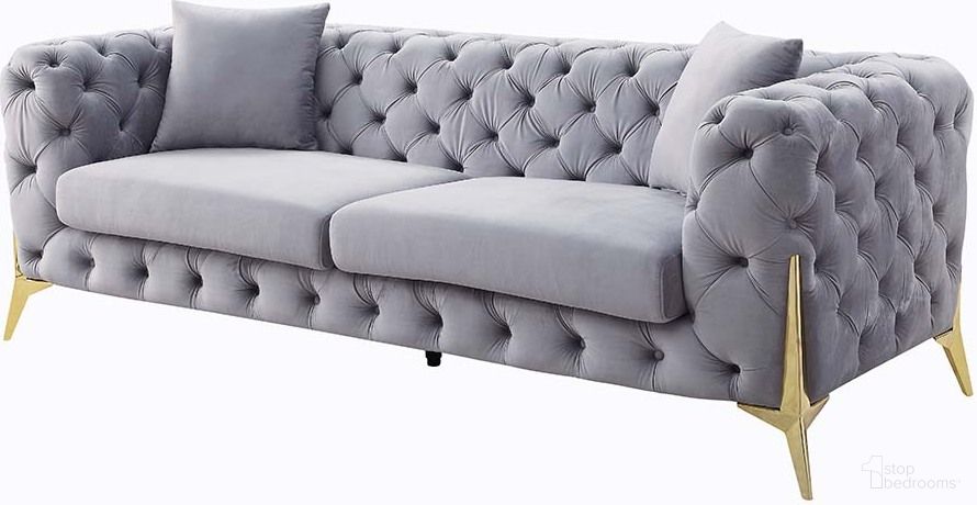 Jelanea Collection