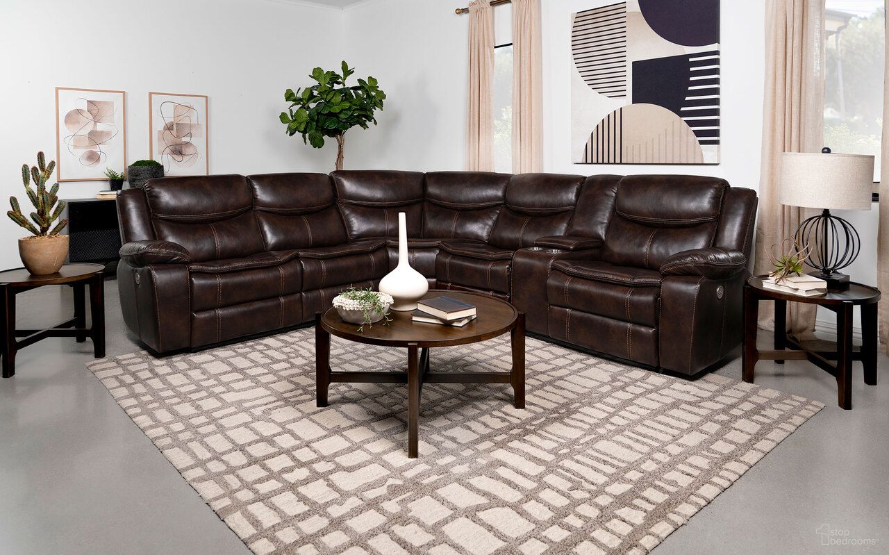 Sycamore Collection