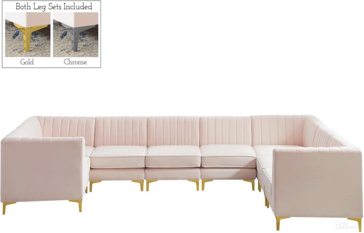 Alina Collection