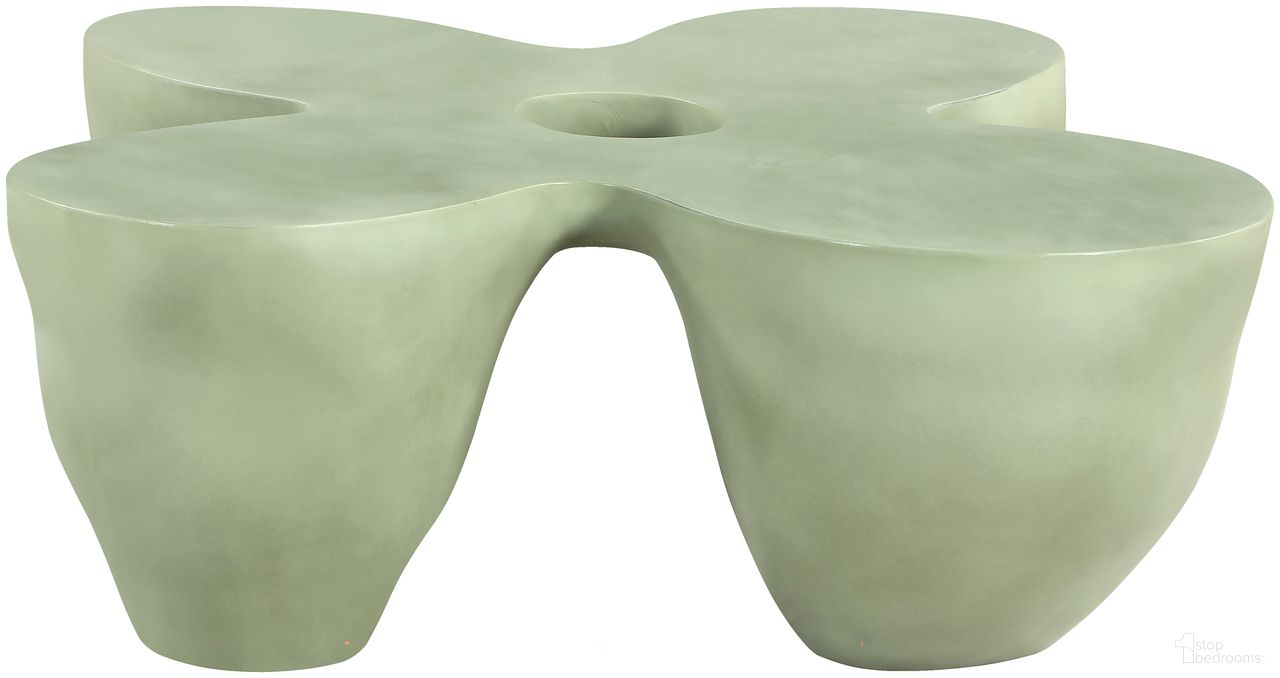 Fiore Collection