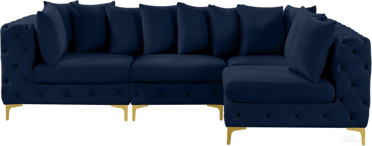 Tremblay Collection