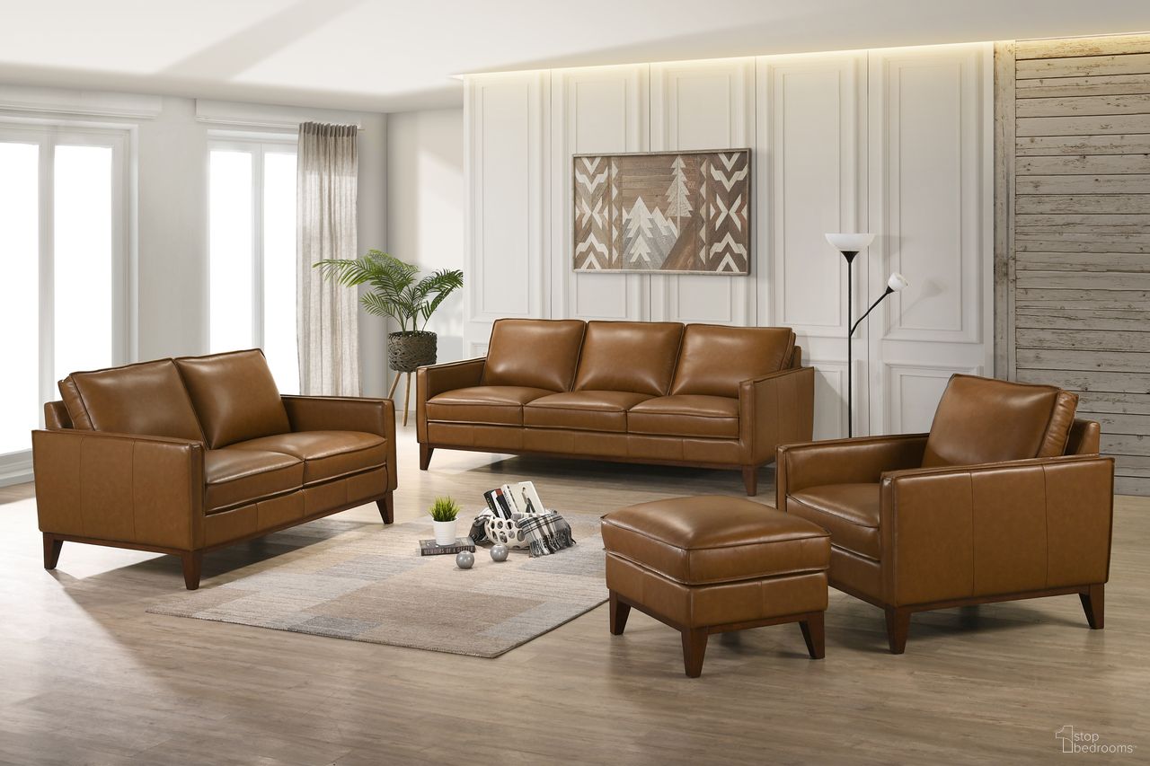 Caspar Collection