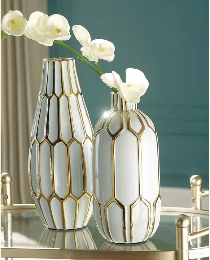 Mohsen Collection