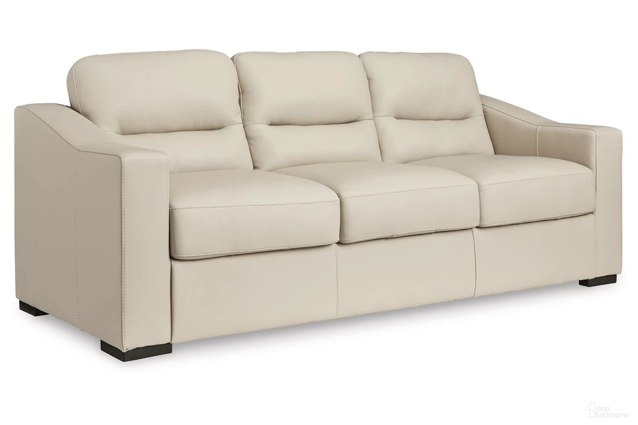 Treasure Trove Collection