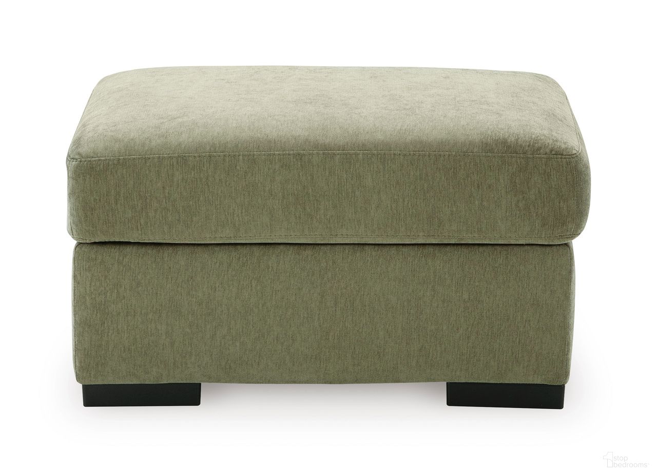 Camparia Collection