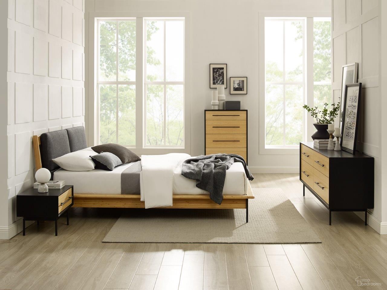 Santa Cruz Collection