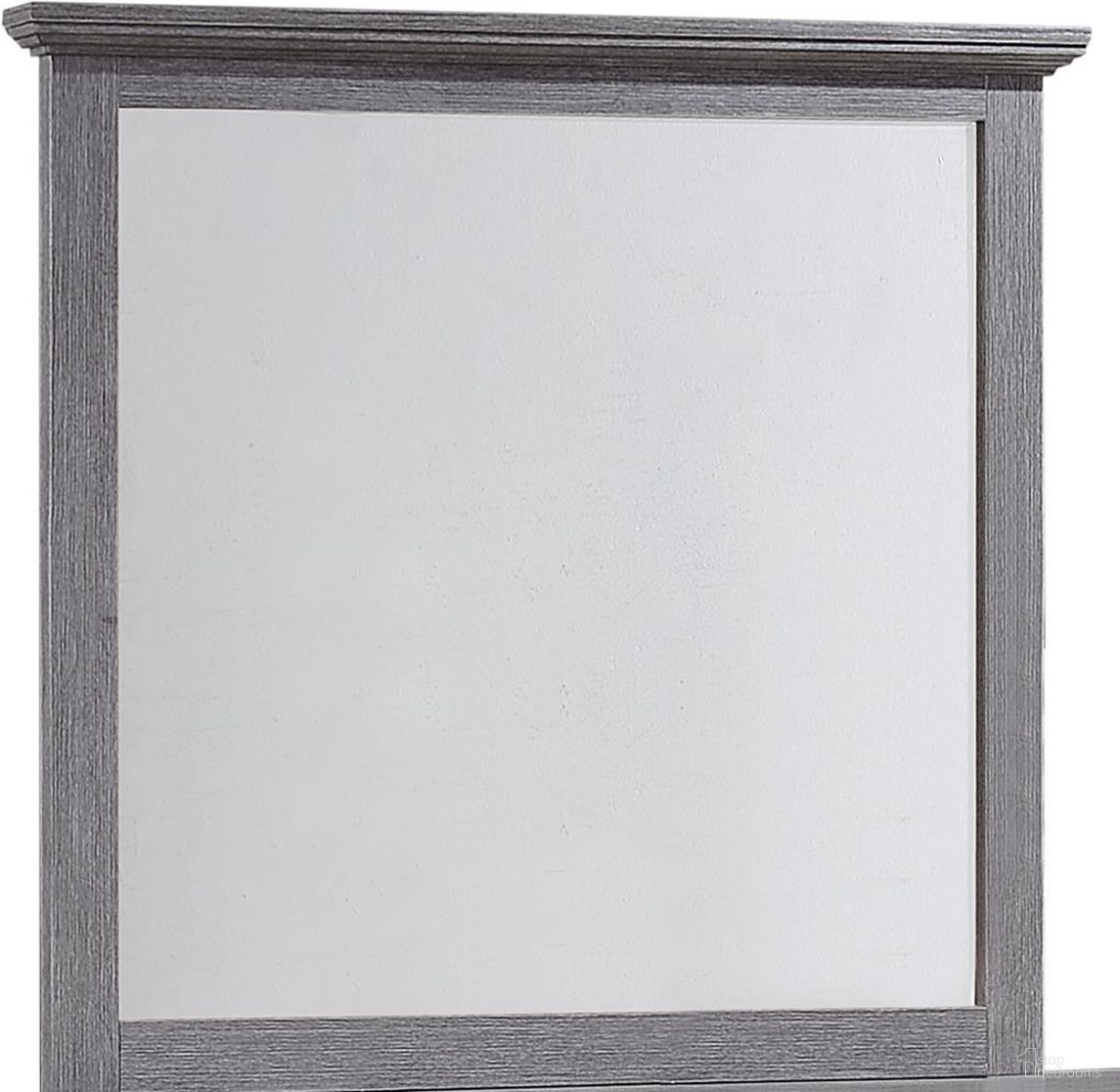 Sarter Collection