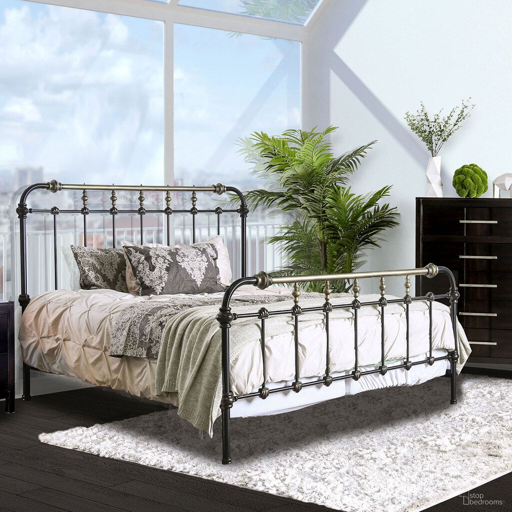 Riana Collection