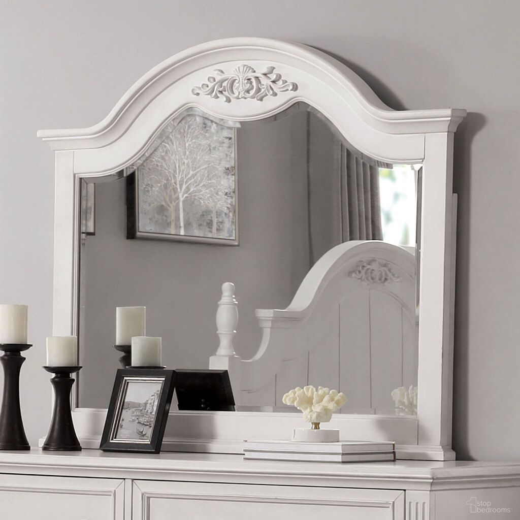 Georgette Collection