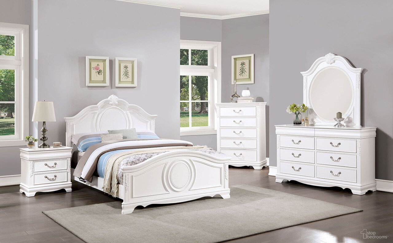 Alecia Collection