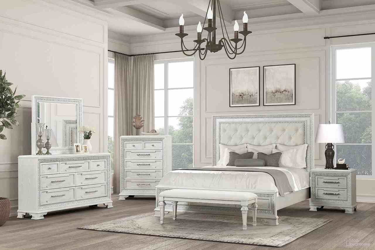 Stella Mia Collection