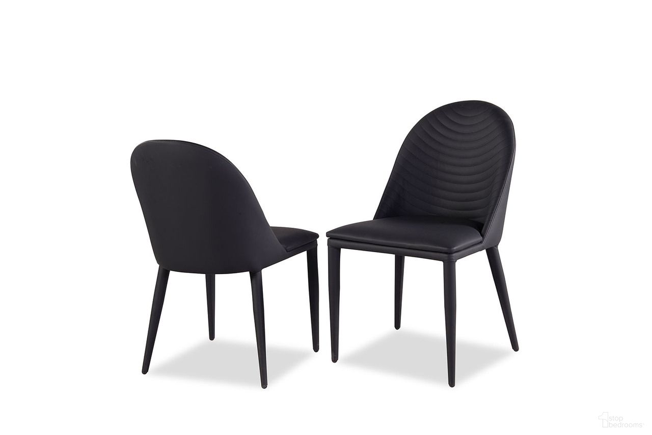 Lenvik Collection
