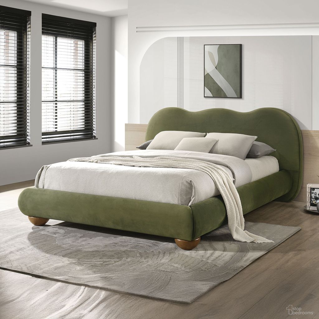 Finamore Collection