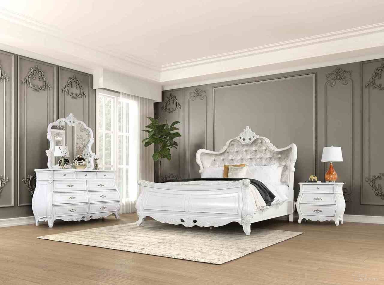 Valentini Collection