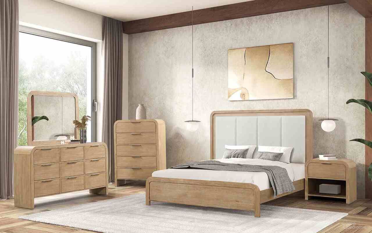 Handforth Collection