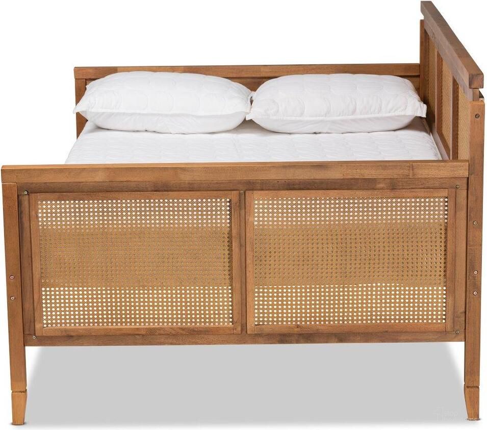 Toveli Collection