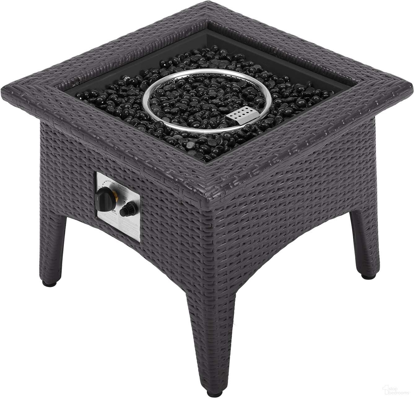 Vivacity Collection