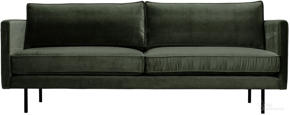 Raphael Collection