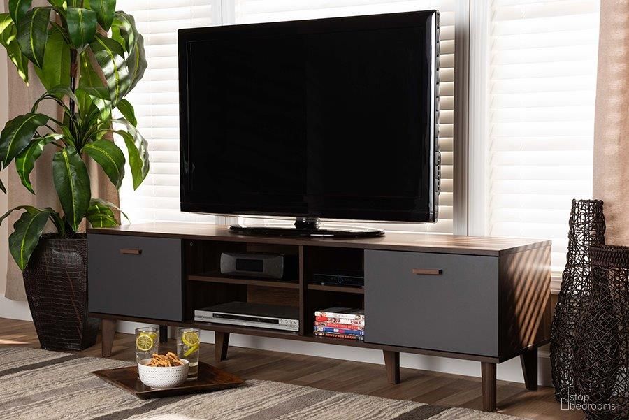 Moina Collection