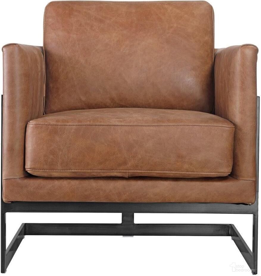 Luxley Collection