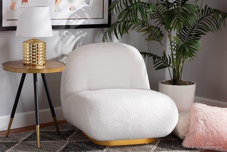 Paiva Collection