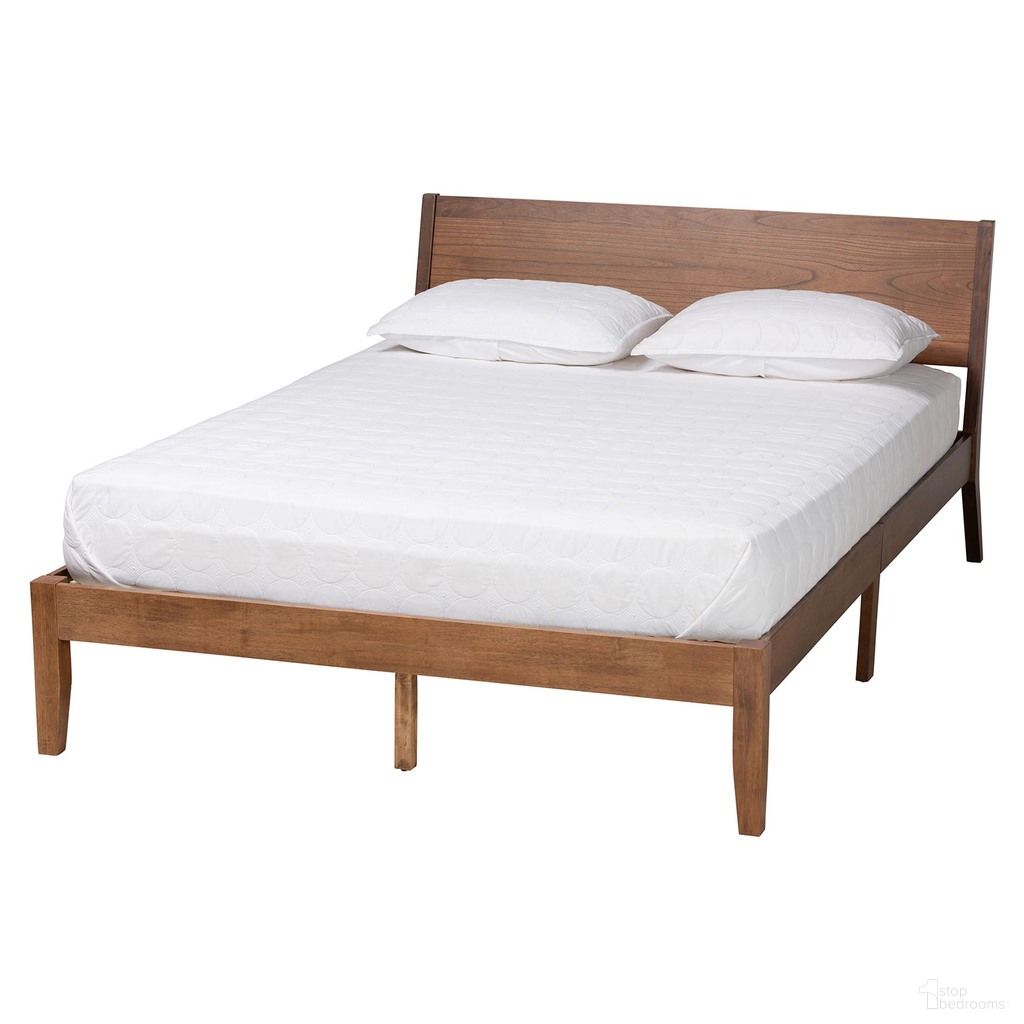 Salvatore Collection