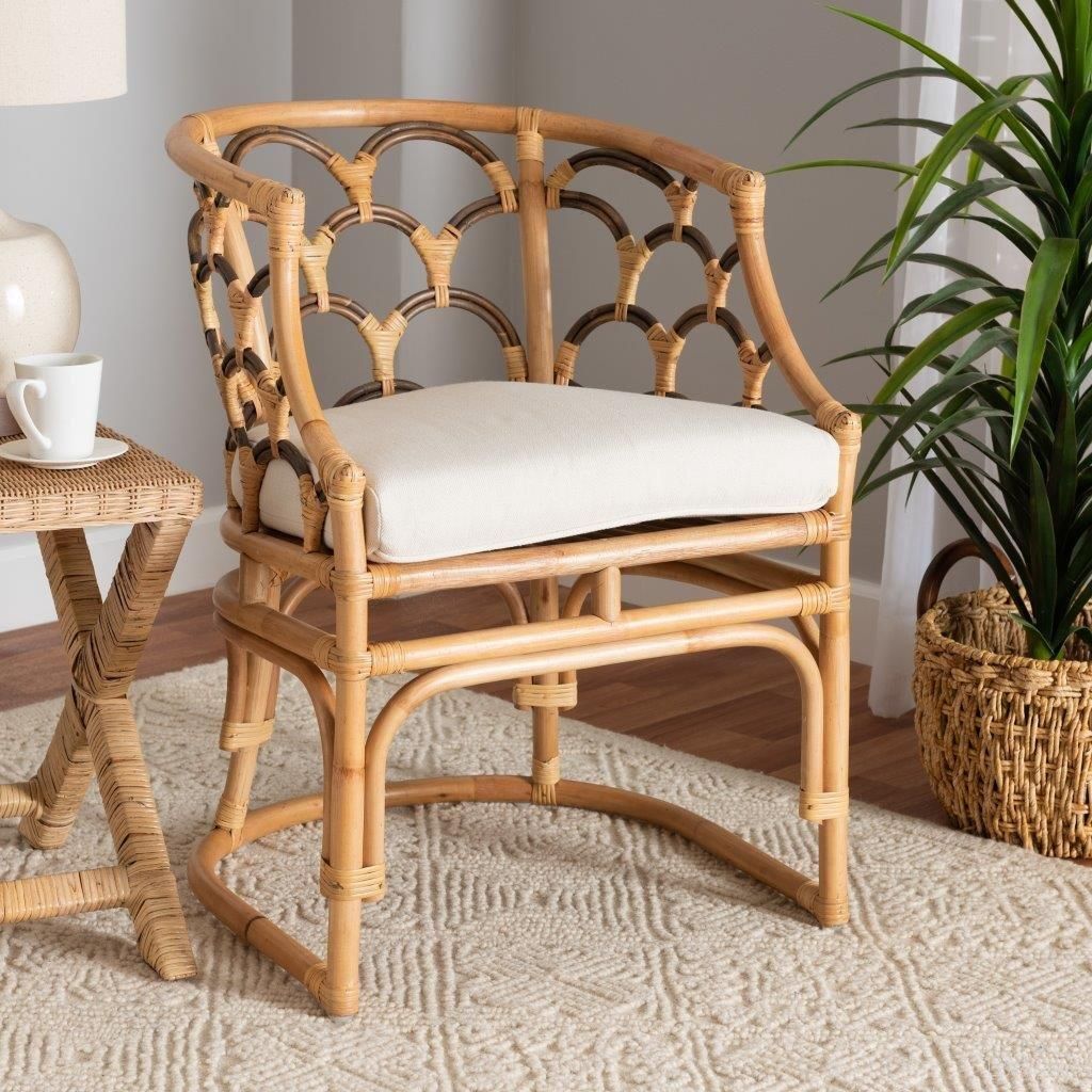 Aster Collection