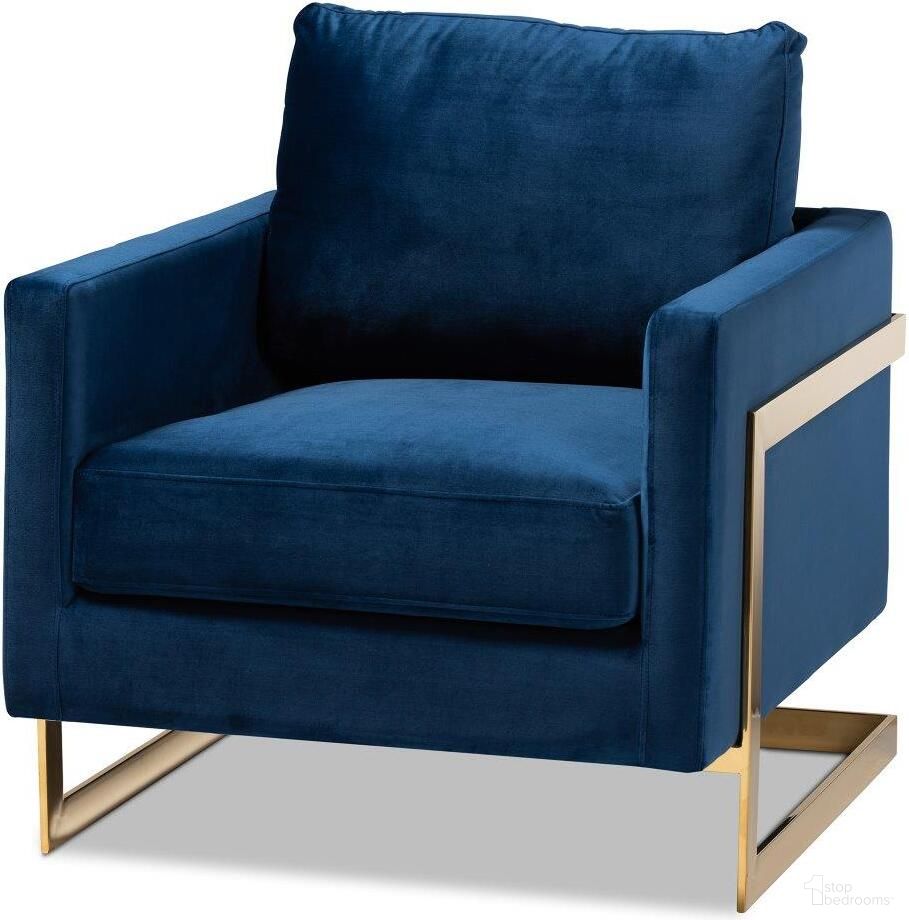Matteo Collection