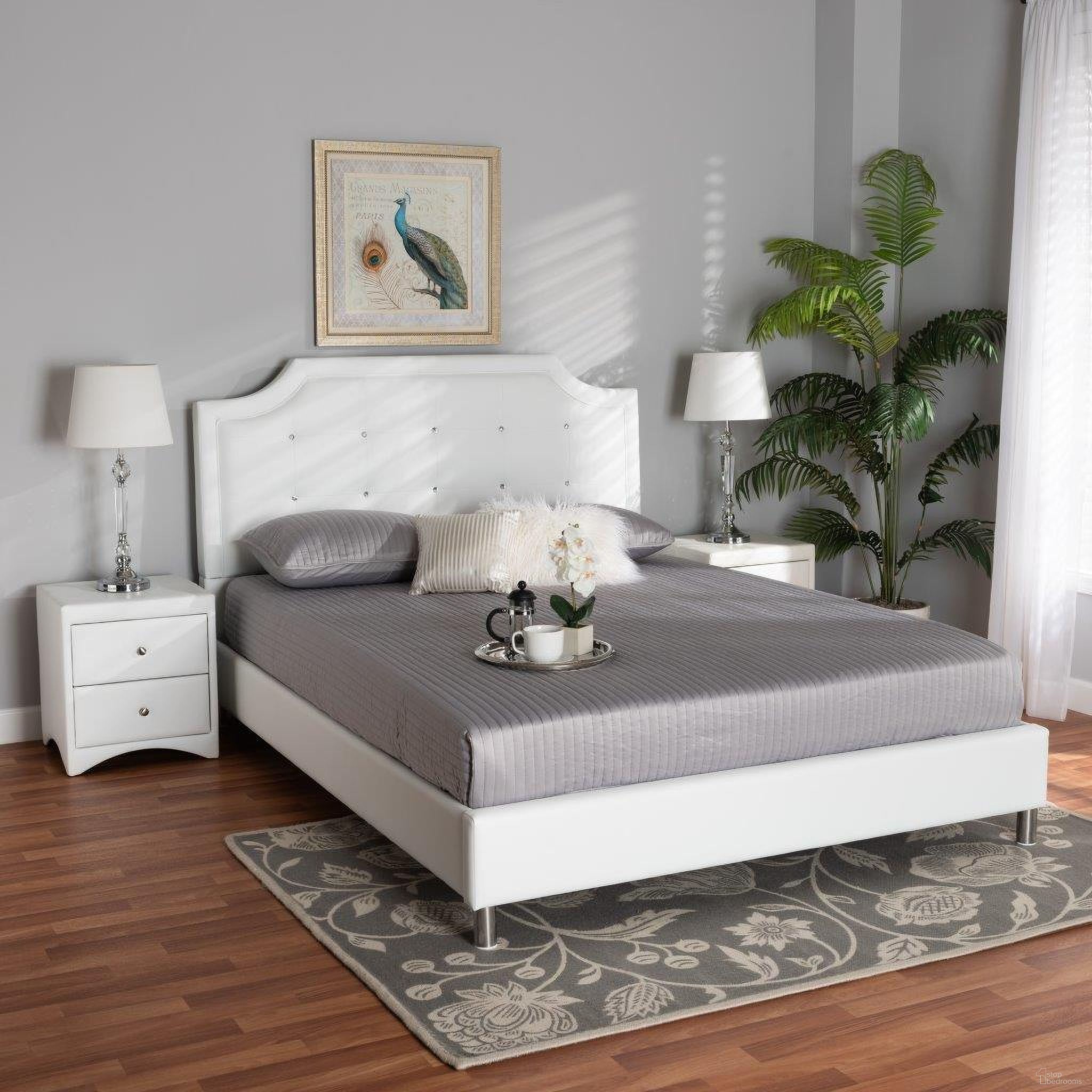 Carlotta Collection