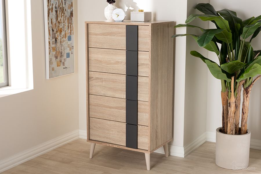 Lisen Collection
