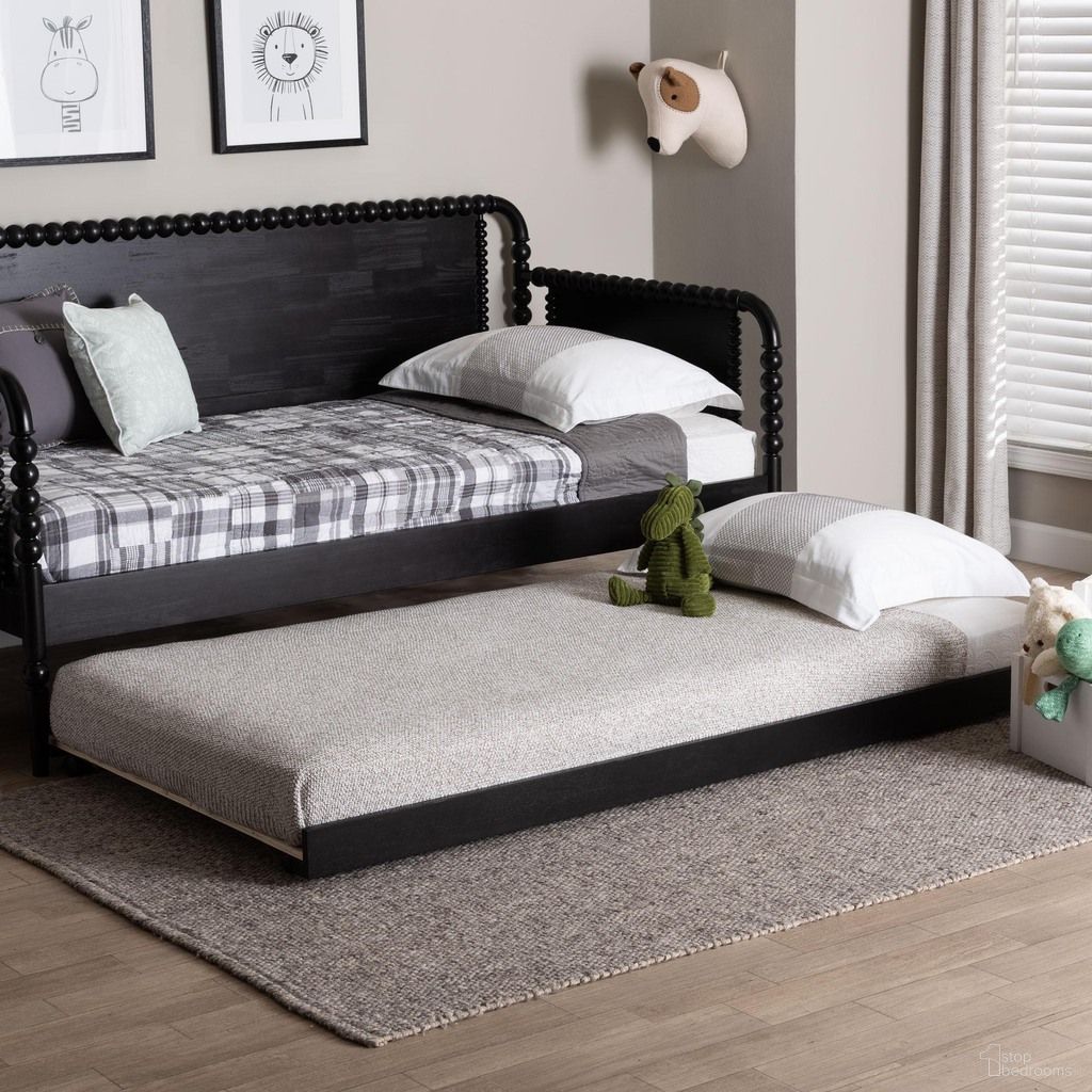 Lucera Collection