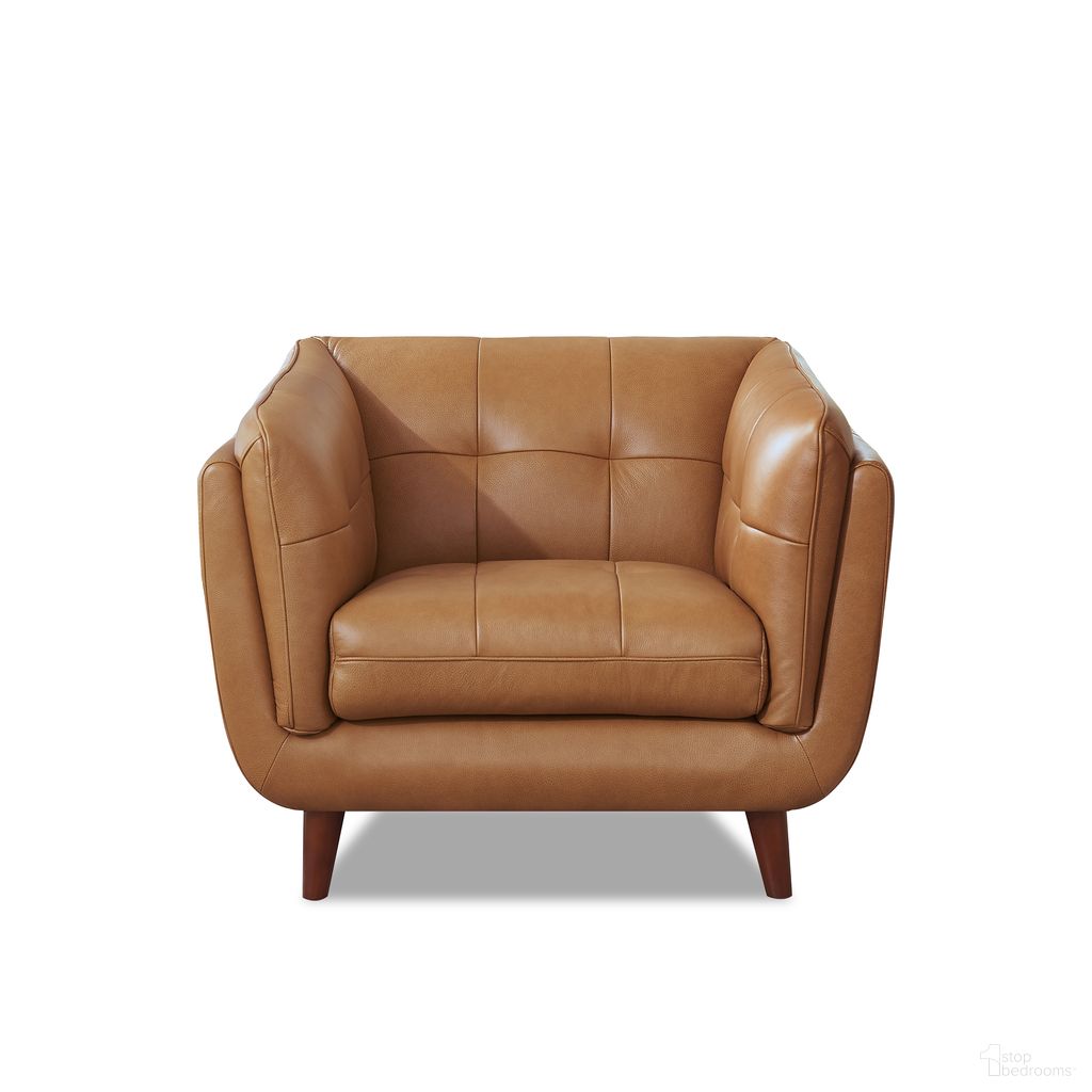Solana Collection